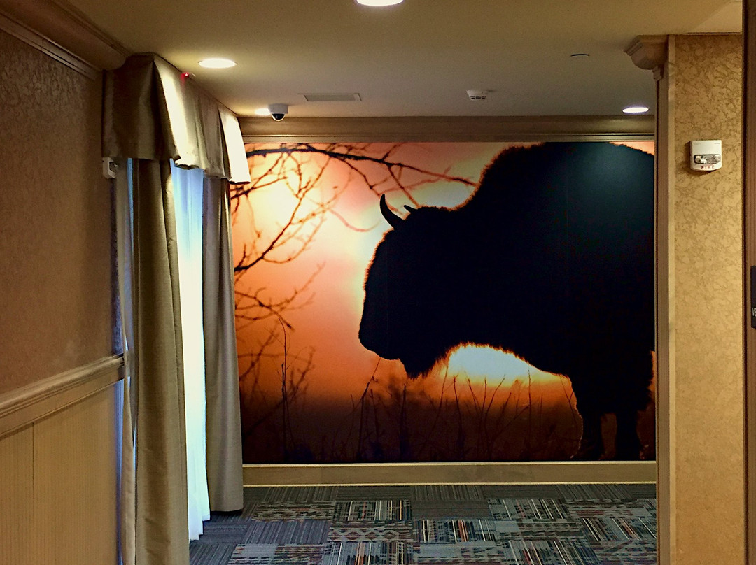 Hampton Inn & Suites Dodge City主图