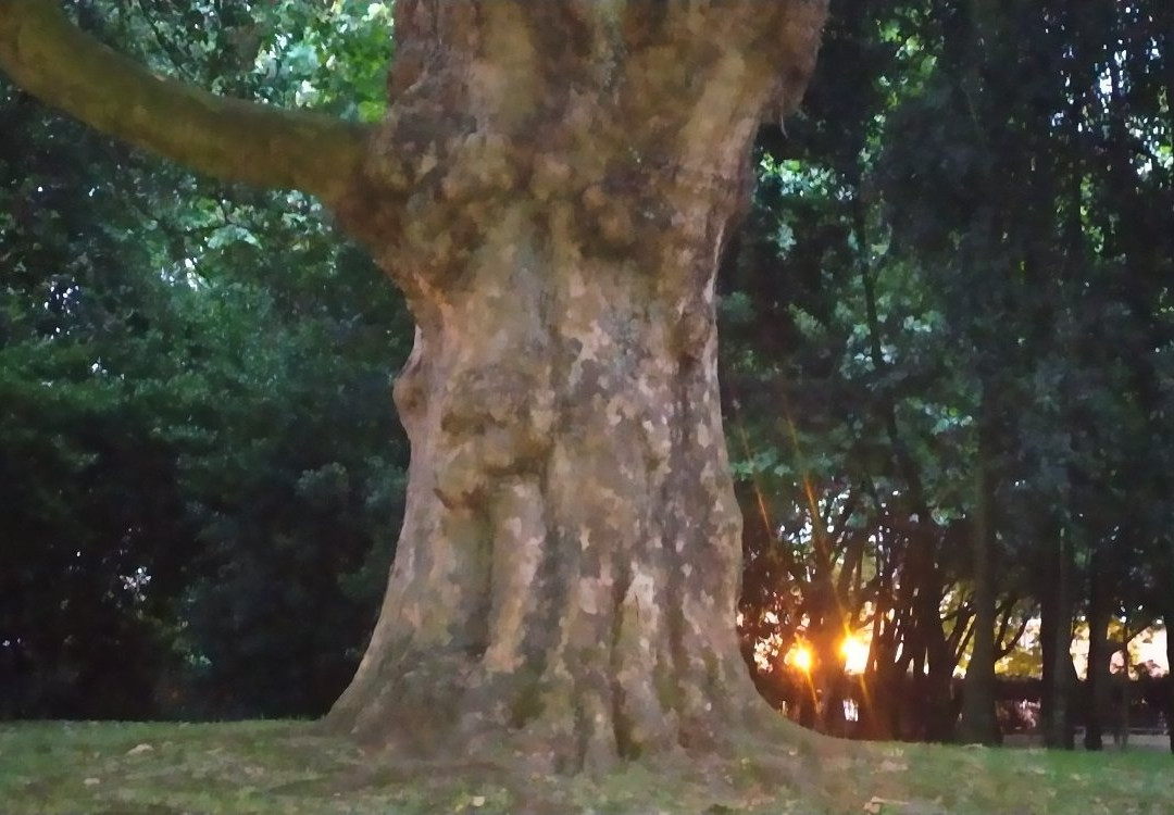 Parque de Ferrera-阿维莱斯必去景点