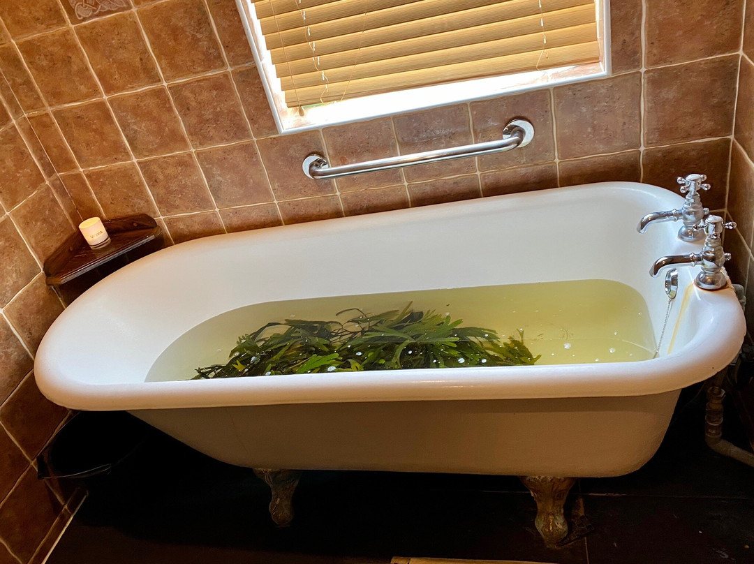 Voya Seaweed Baths-斯特兰迪希尔必去景点
