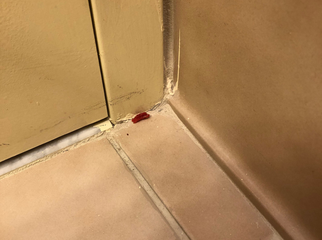 曼彻斯特机场乡村套房酒店主图