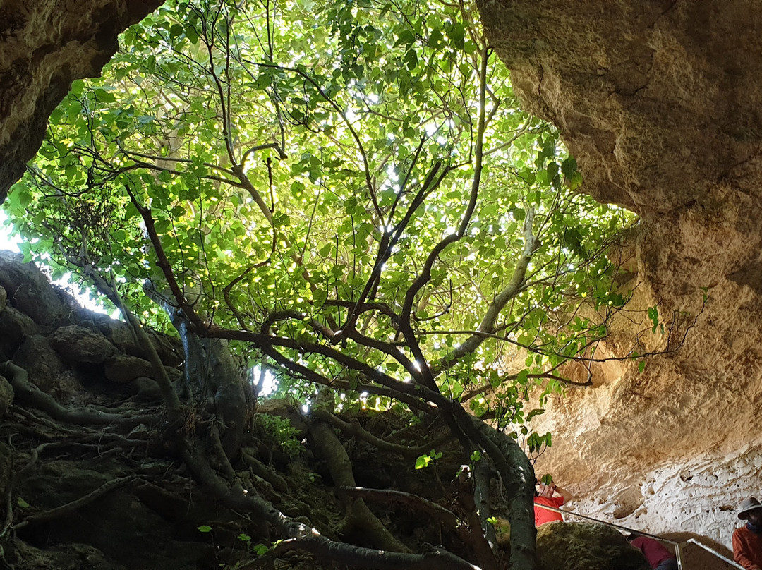 Tour de Sound-耶路撒冷必去景点