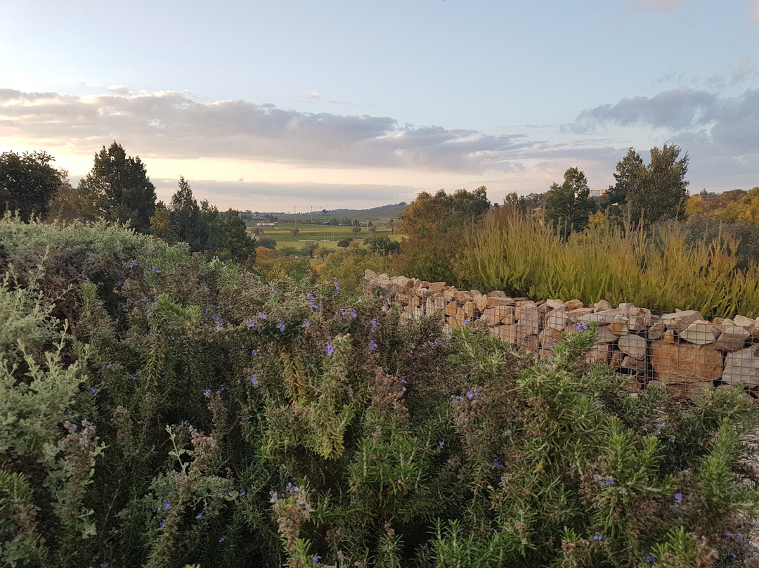 Hotel Gracelands主图