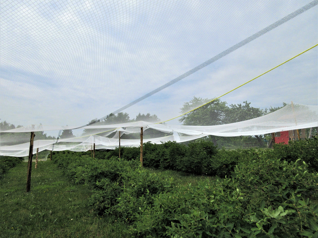 Ferme Fibres et Compagnie-Saint-Alexandre-de-Kamouraska必去景点