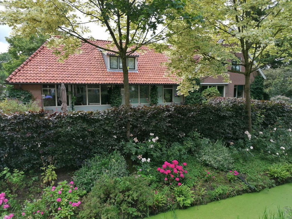 In de Oude Praktijk主图