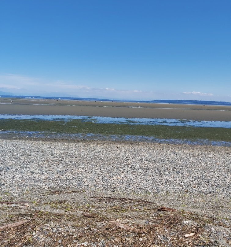 Centennial Beach景点图片