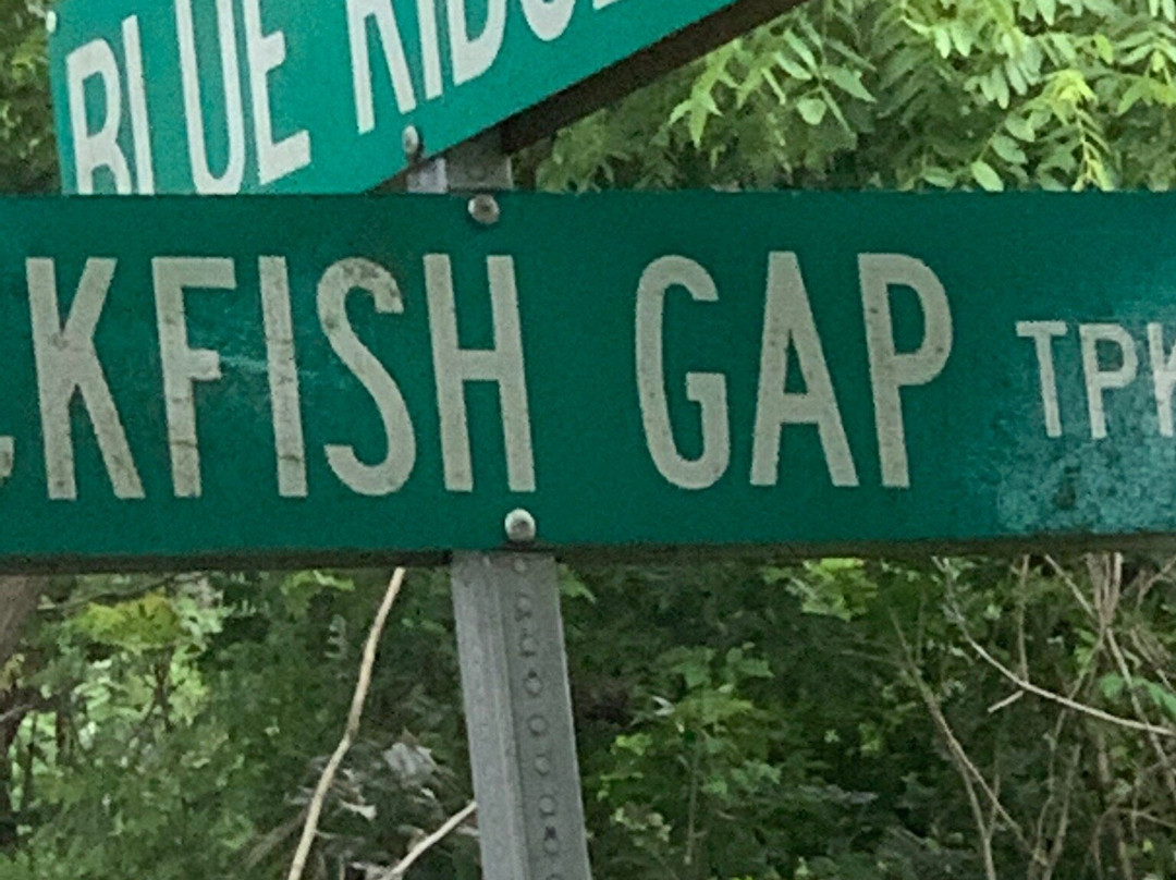 Rockfish Gap Country Store-Afton必去景点