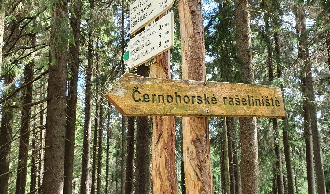 Cernohorske Raseliniste-Janske Lazne必去景点