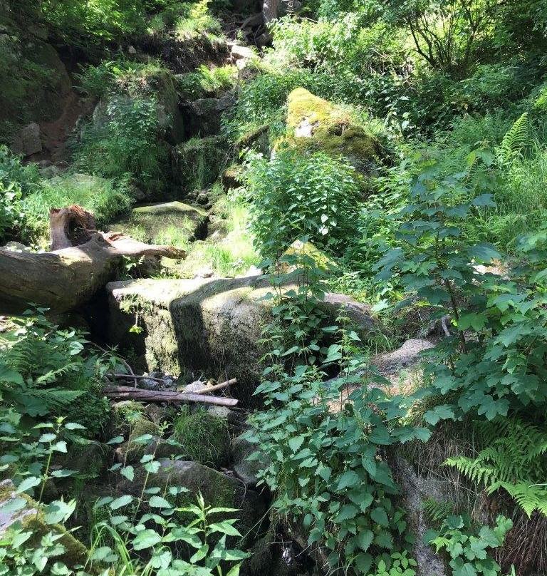Blauenthaler Wasserfall-Eibenstock必去景点