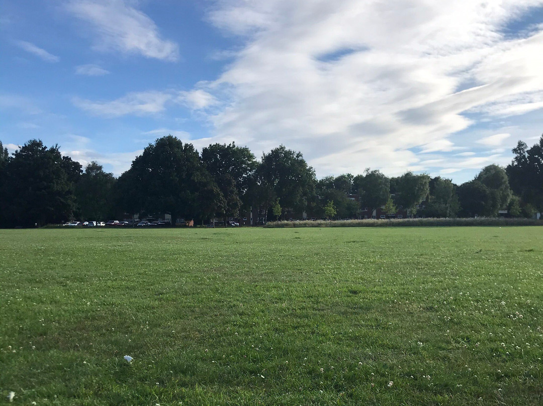 Elmdon Park-索利哈尔必去景点