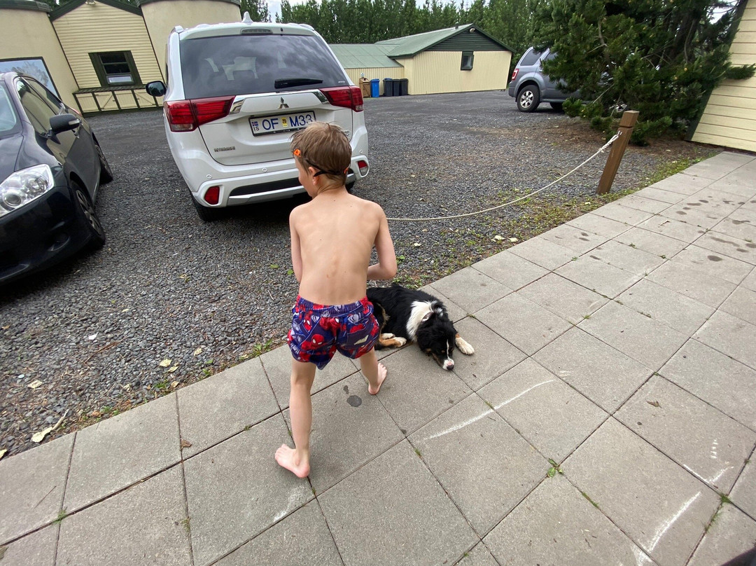 Hotel Hjarðarból主图