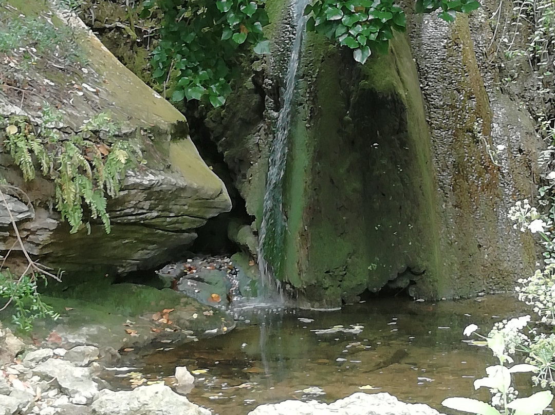 Cascata do Magoito景点图片