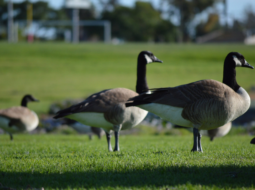 Don Knabe Community Regional Park-喜瑞都必去景点