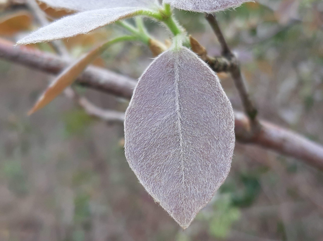 Parque Ecológico da Barreira-Itarare必去景点