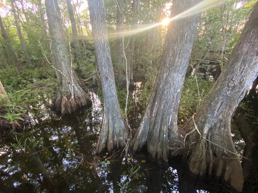 Kirby Storter Roadside Park-奥乔皮必去景点