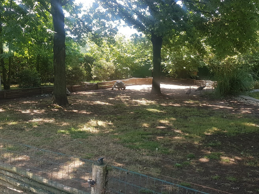 Giardini Del Volturno景点图片