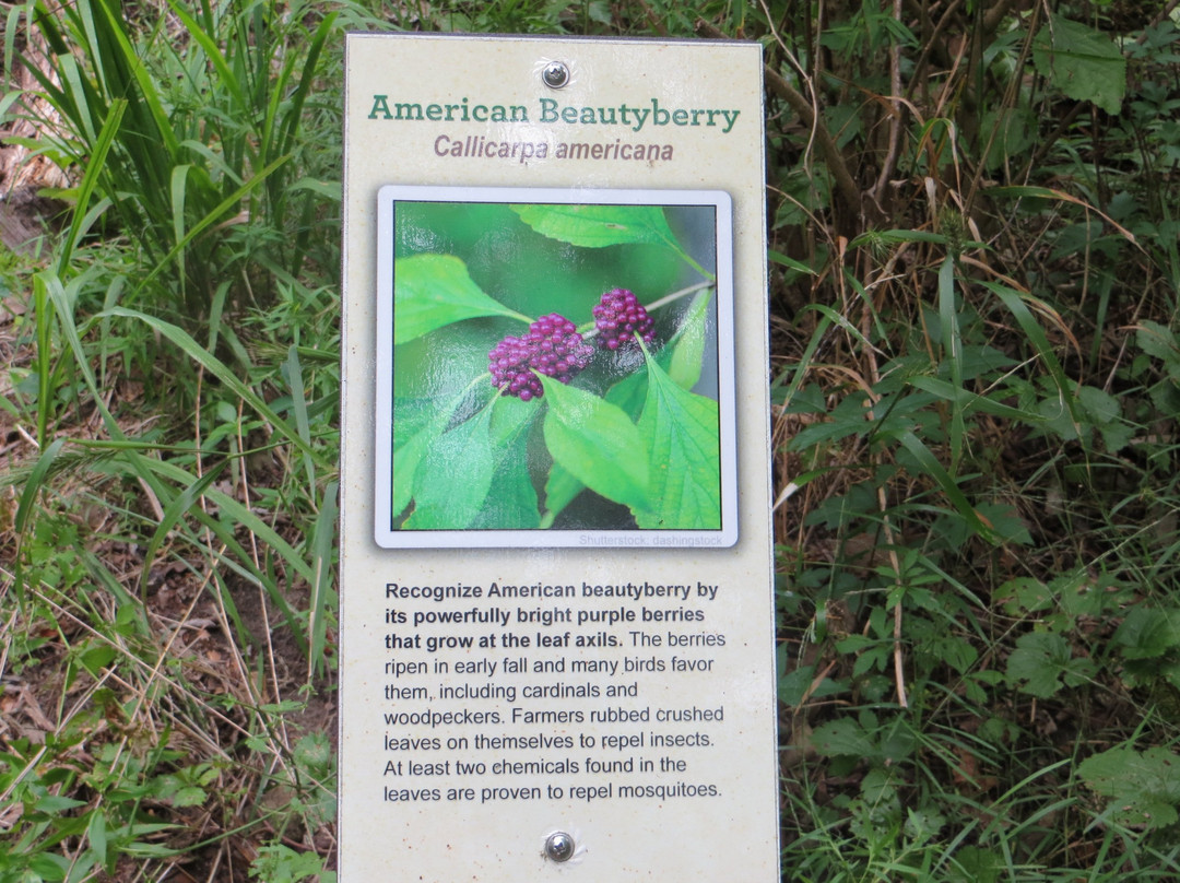Fort Parker State Park-Mexia必去景点