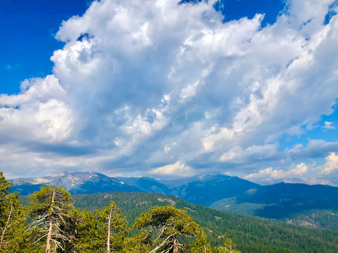 Little Baldy Trail-红杉&国王峡谷国家公园必去景点