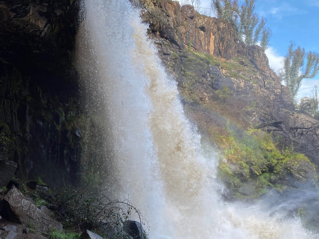 Paddys River Falls景点图片