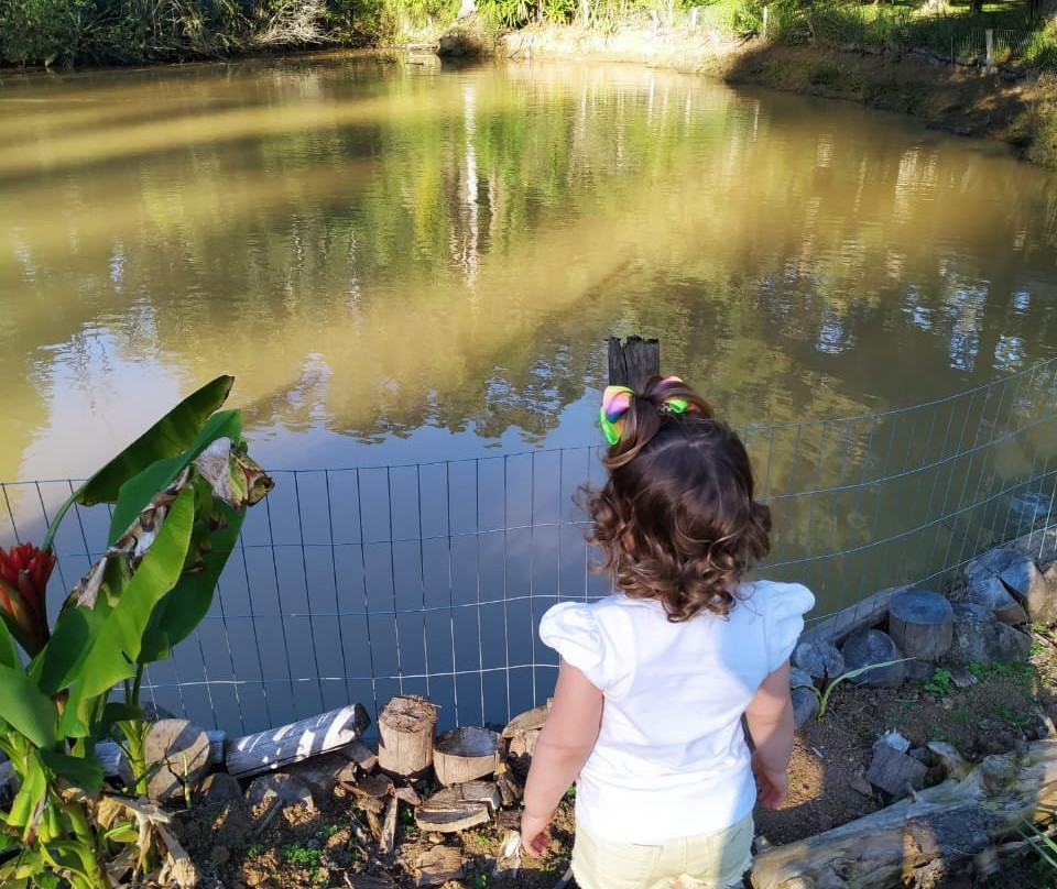 Paraíso Das Pedras-Nova Brescia必去景点