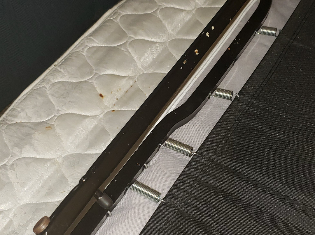 Comfort Inn & Suites主图