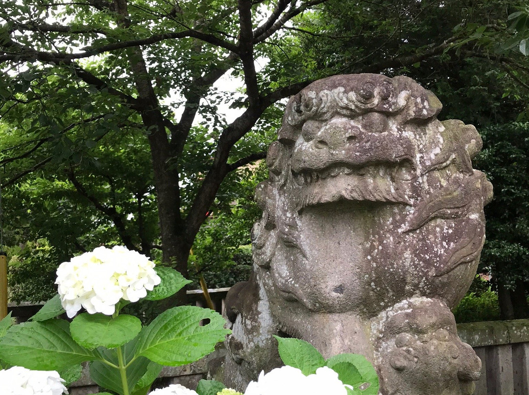 Imamiya Shrine-樱市必去景点