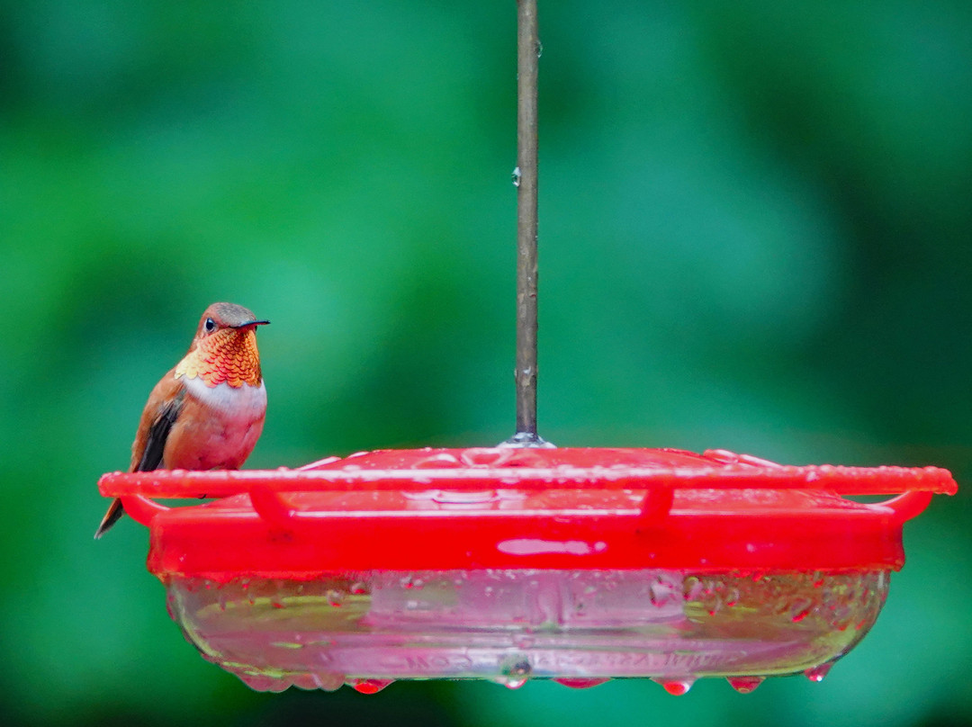 Eagle Rock Lodge主图