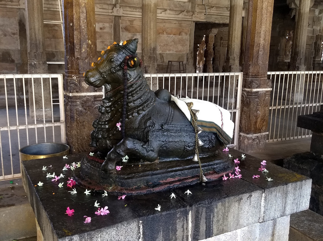 Srikailasanathar Temple-Srivaikuntam必去景点