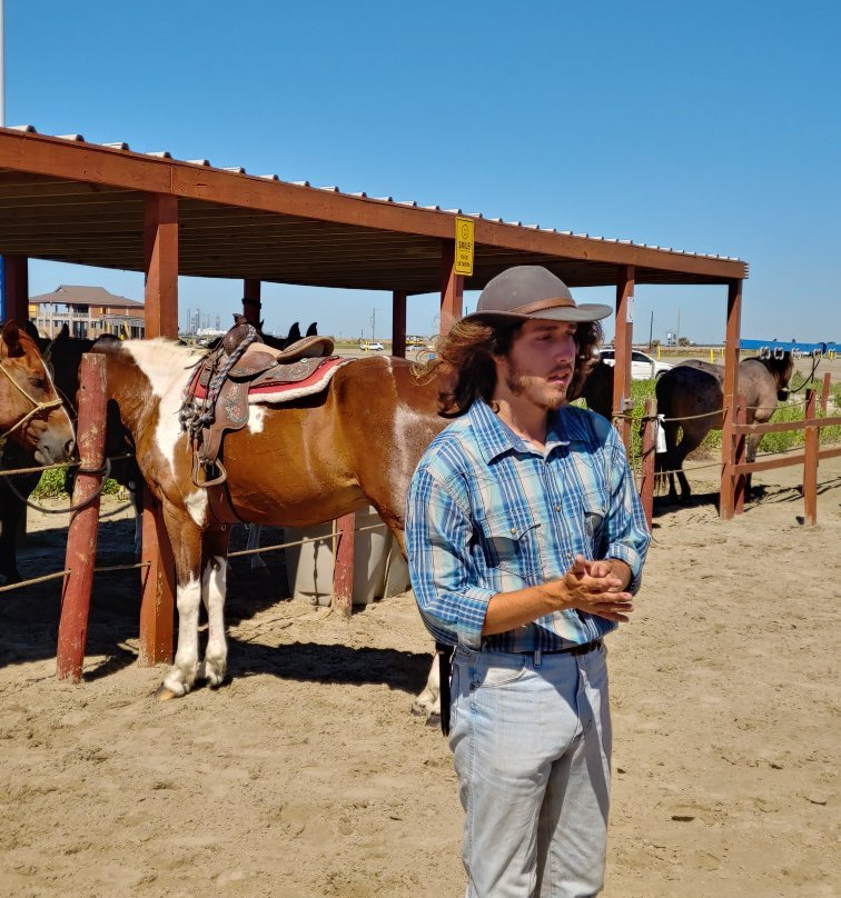 Galveston Island Horse & Pony Rides-加尔维斯顿岛必去景点