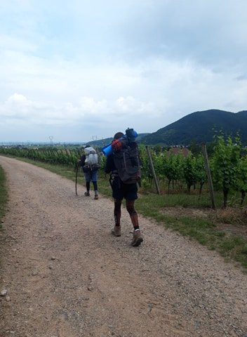 Hôtel Berceau Du Vigneron主图