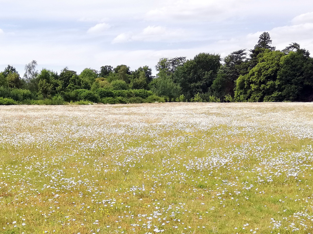 Nowton Park-圣埃德蒙兹伯里必去景点