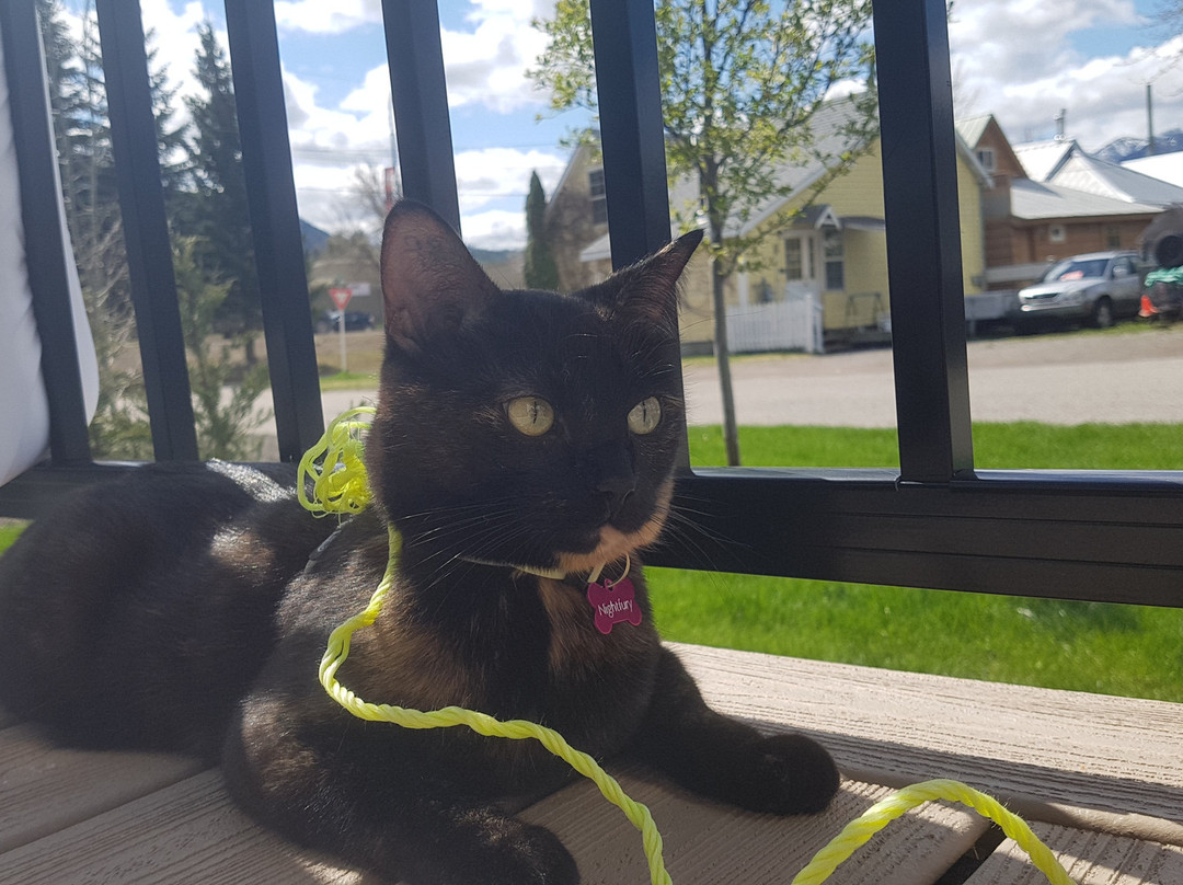 Snow Valley Lodging主图