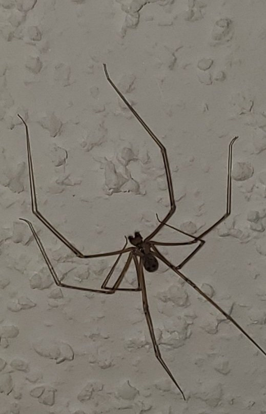 Quality Inn & Suites主图