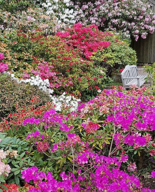 Lea Gardens-马特洛克必去景点