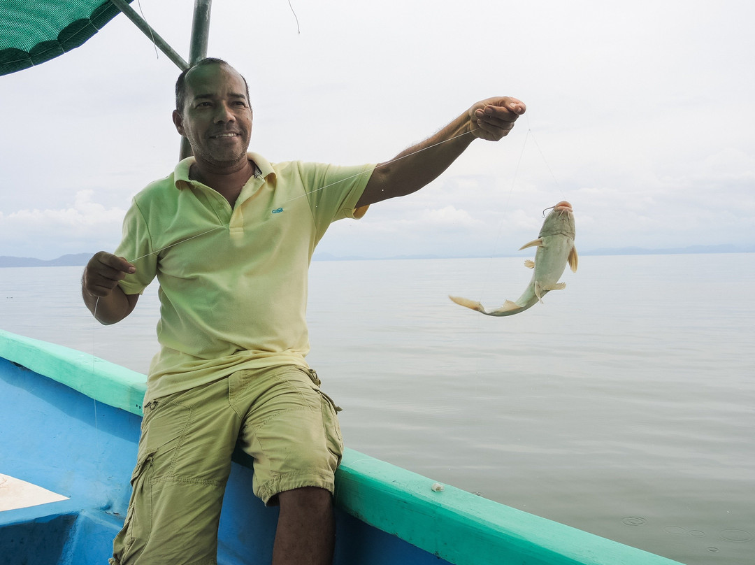 Campfire Stories-Isla Venado必去景点