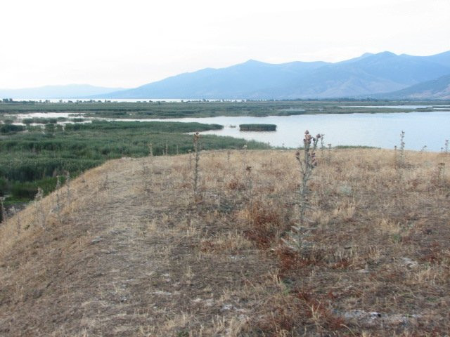 Agios Achillios island景点图片