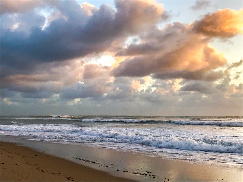 Sea Downs and the Bougainvillea主图