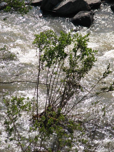 Jordan Park-Neot Golan必去景点