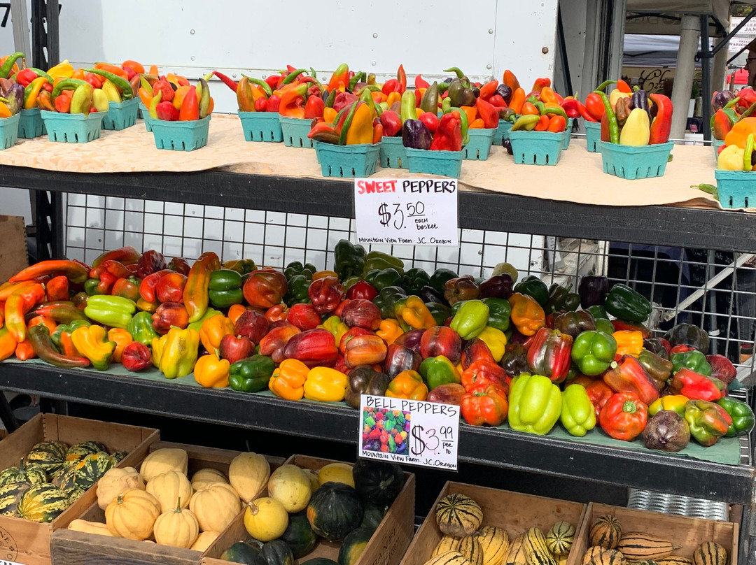 Eugene Saturday Market-尤金必去景点