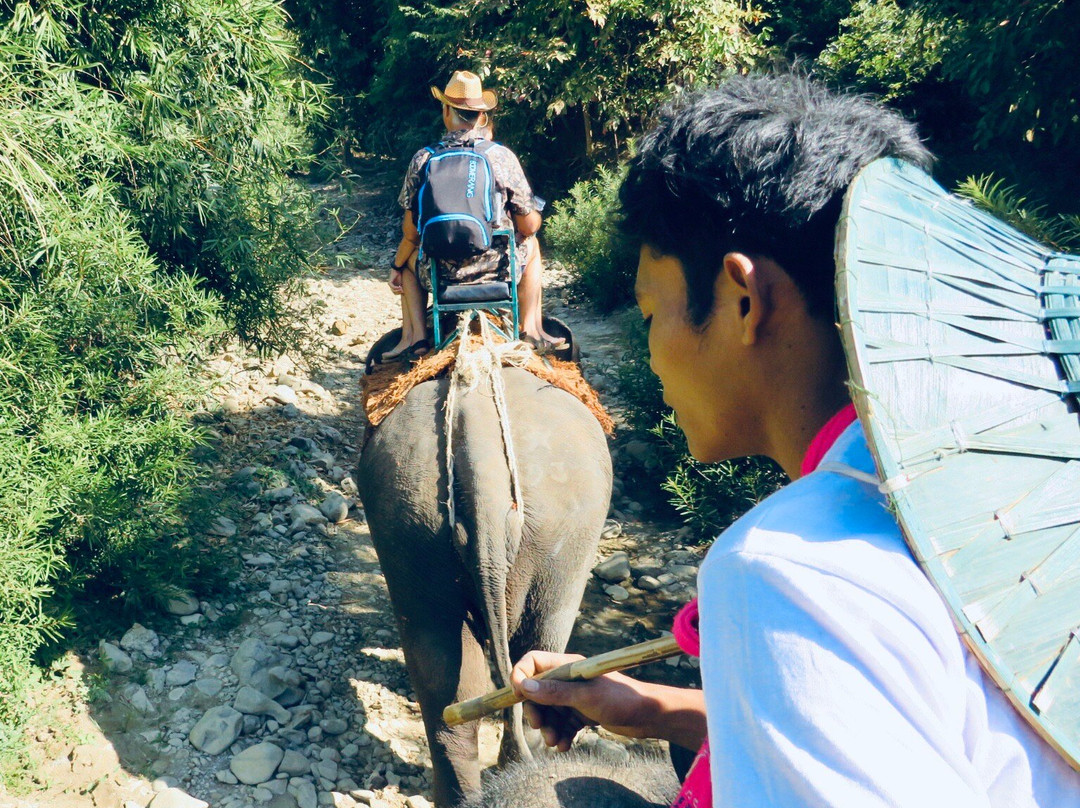 Ngapali Elephants Sanctuary-卡帕里必去景点