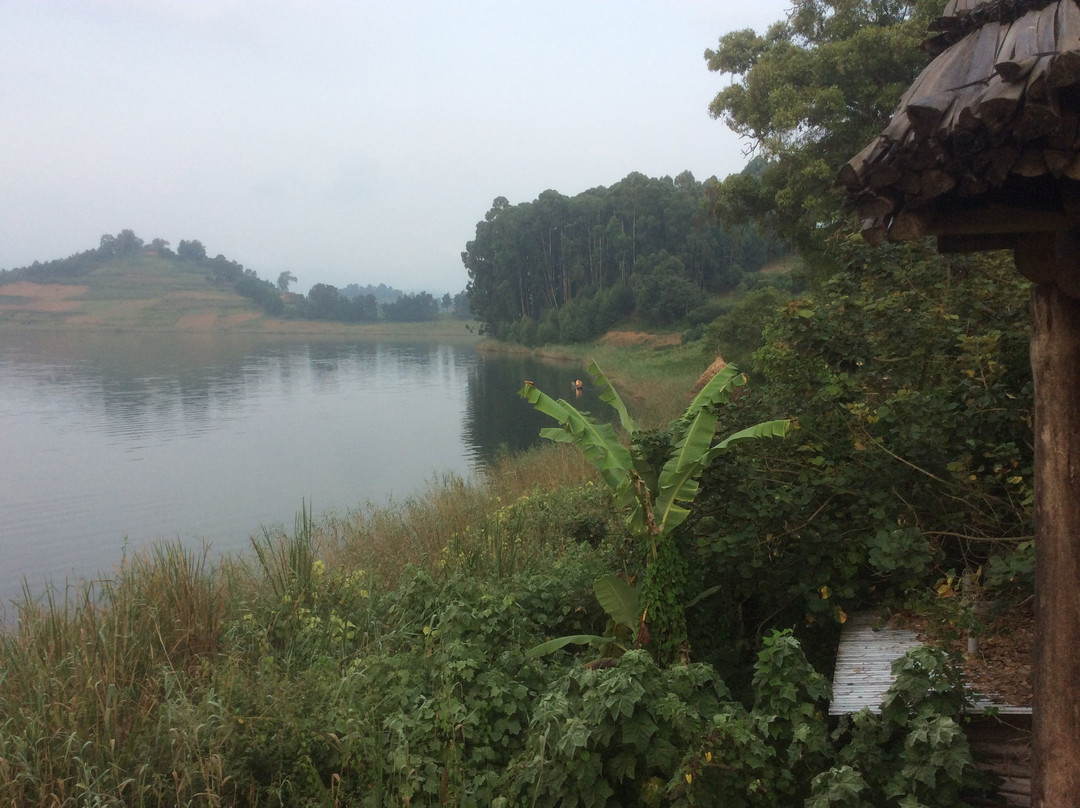 Paradise Eco-hub主图