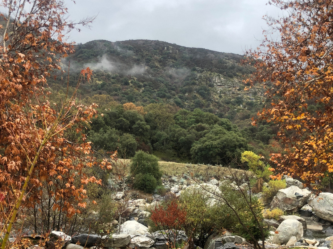 Buckeye Tree Lodge & Cabins主图