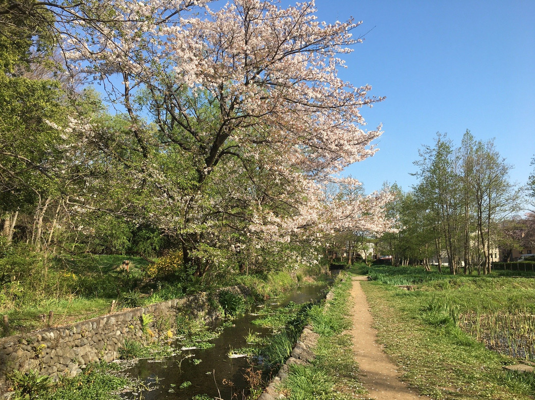Yagawa Ryokuchi Park-立川市必去景点
