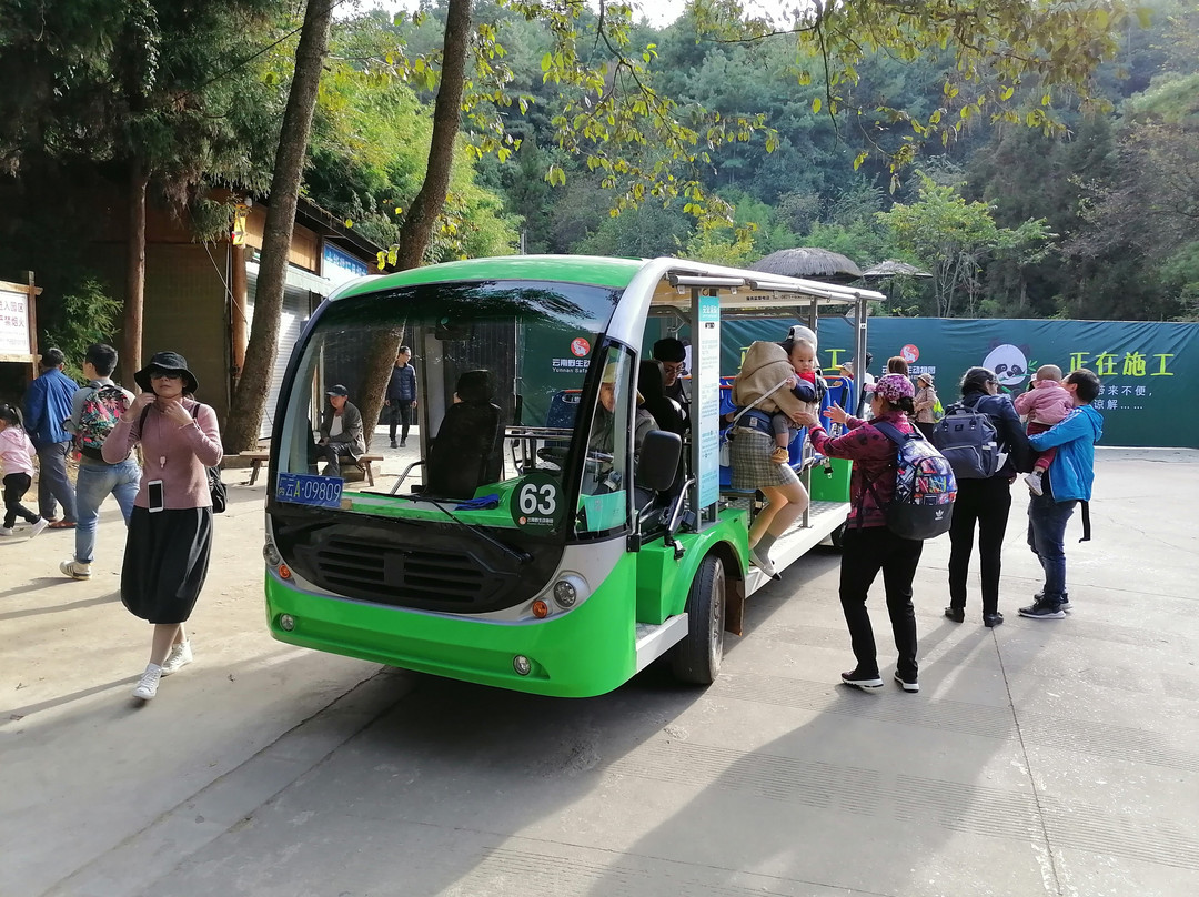 昆明动物园-昆明市必去景点