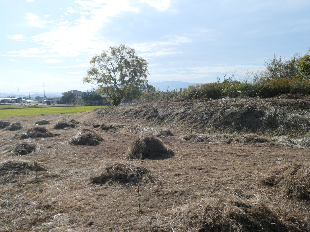 Makimukuishizuka Burial Mound-樱井市必去景点