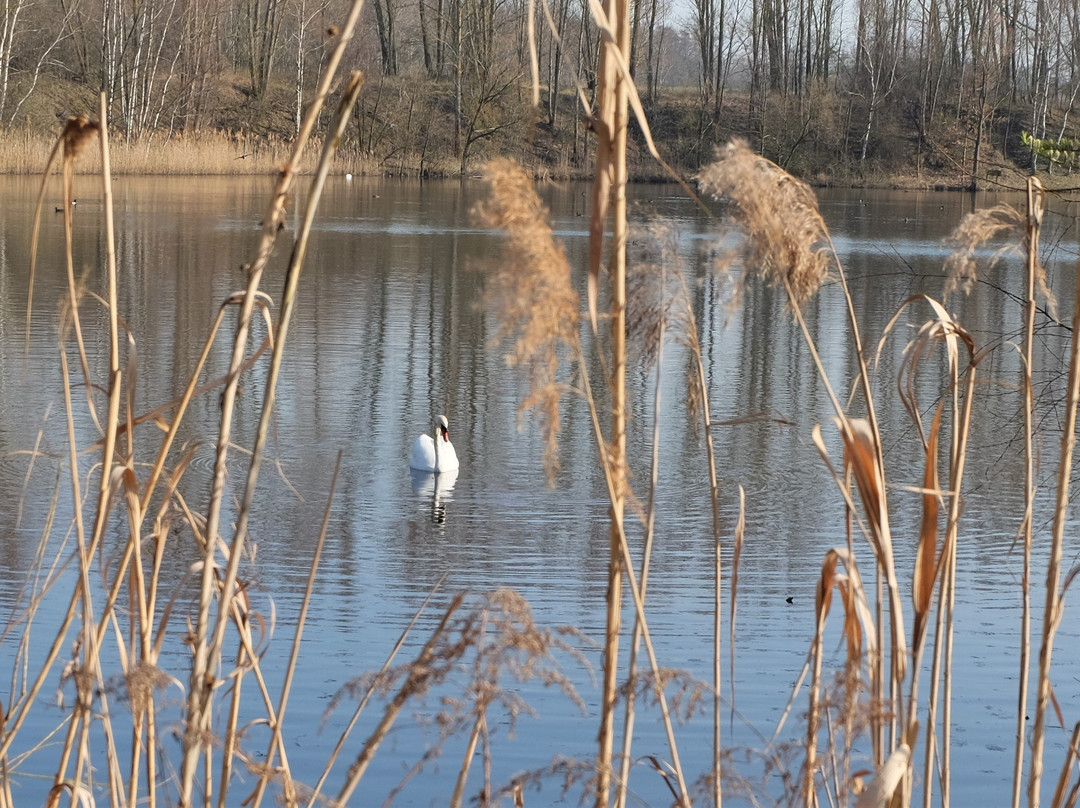 Teich Anna Sued-Helmstedt必去景点