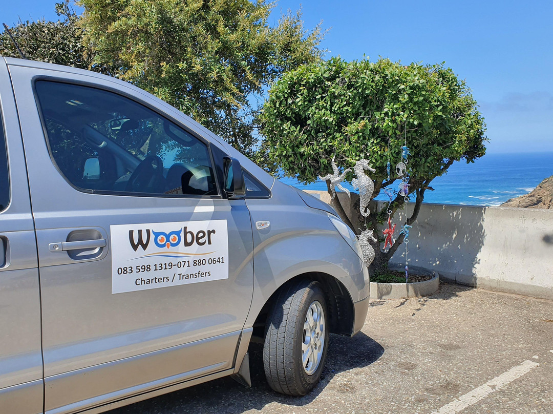 Woober Shuttles, Transfers & Tours-乔治必去景点