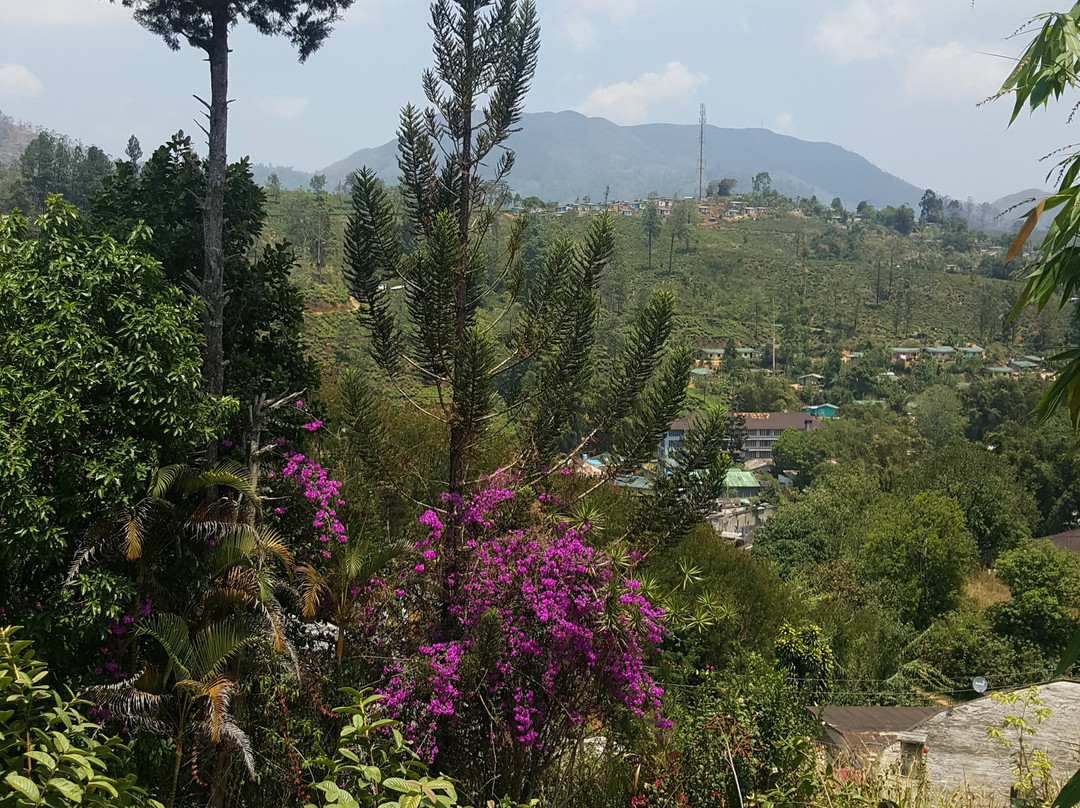 Princess of Dickoya主图