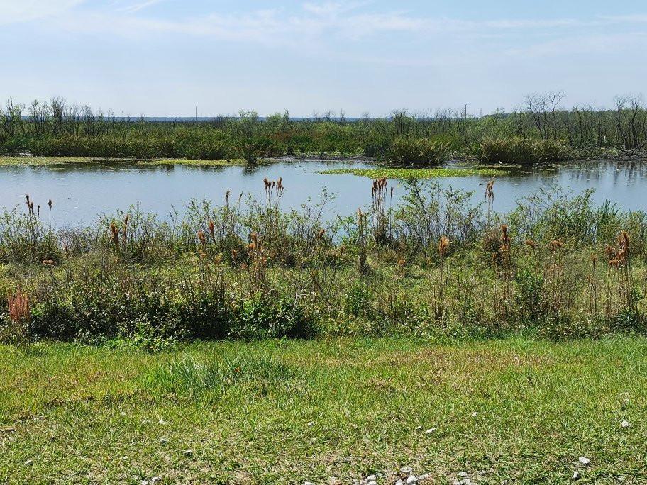 Sweetwater Wetlands Park-盖恩斯维尔必去景点