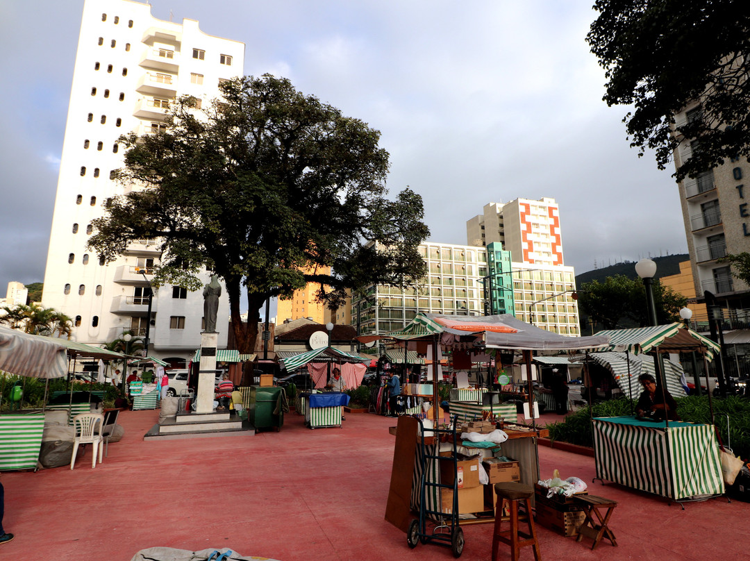 Fonte dos Macacos-Pocos de Caldas必去景点