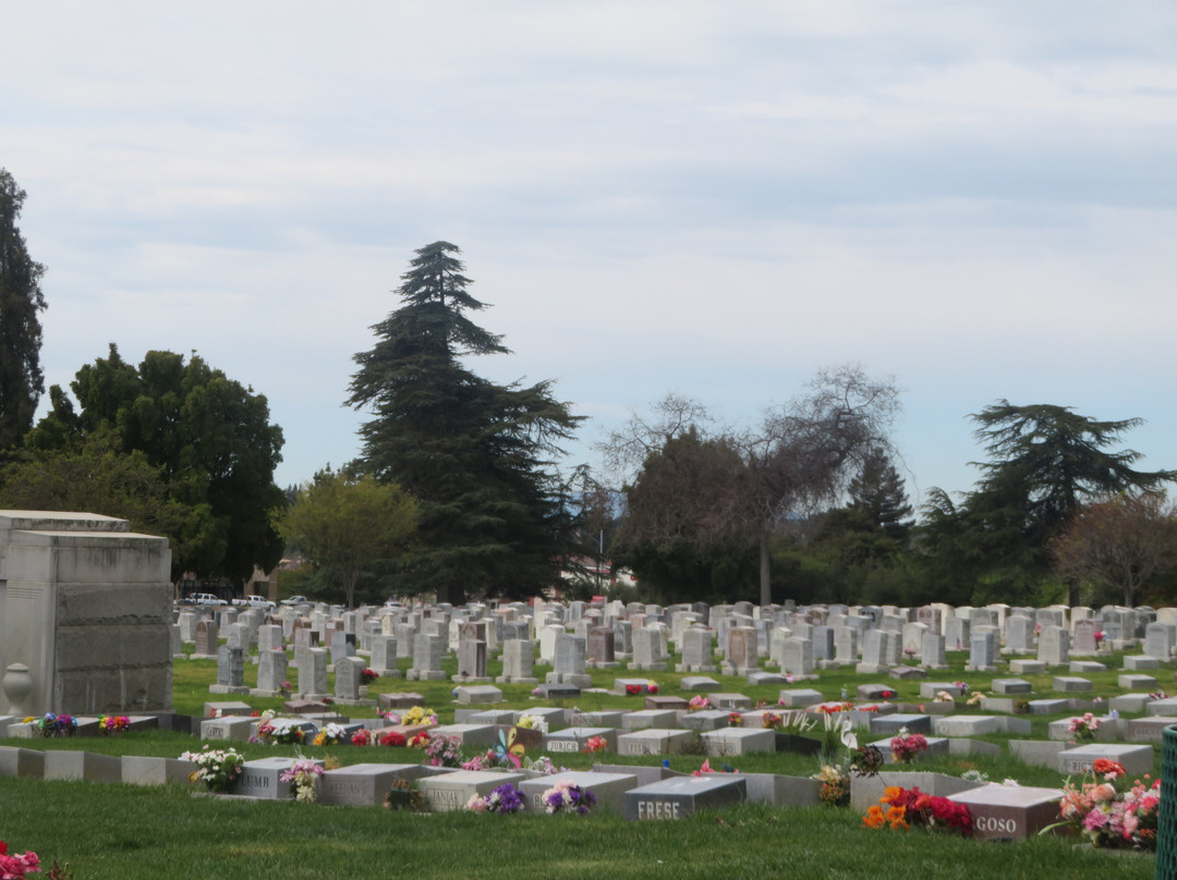 Holy Sepulchre Catholic Cemetery-海沃德必去景点